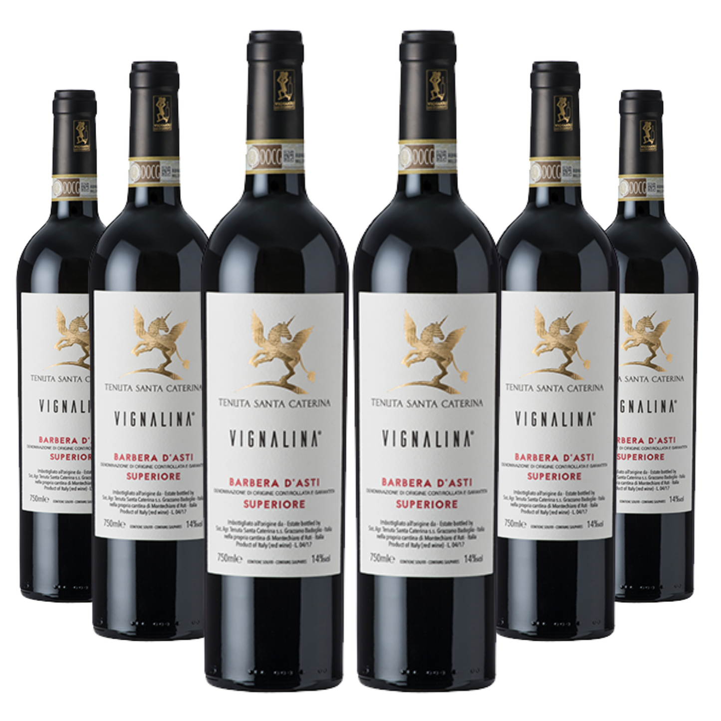 6 bottiglie Barbera d'Asti Superiore DOCG Vignalina Santa Caterina.