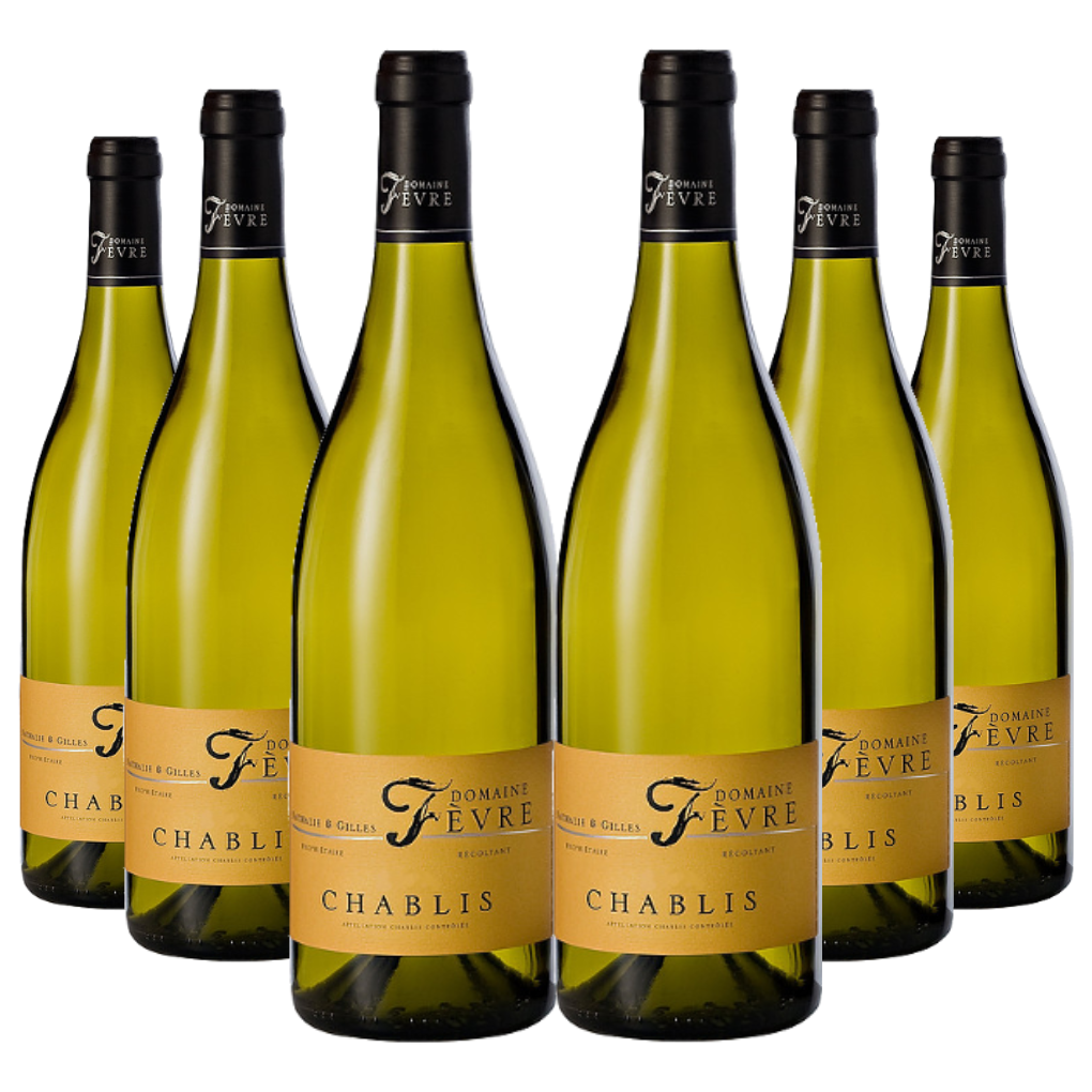 Chablis 2021 Domaine Nathalie & Gilles Fèvre 6 bottigle da 0,75 l