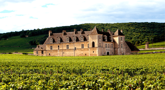 Uno Château a Bordeaux.
