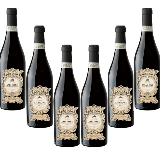 Amarone della Valpolicella DOCG 6 bottiglie |Feudo Italia