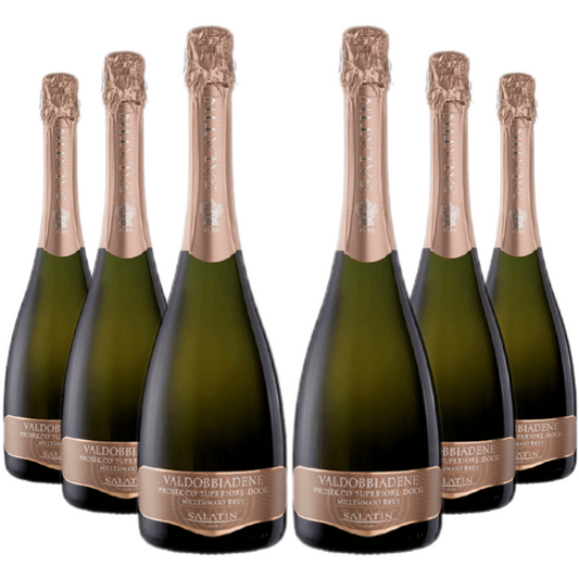 6 bottiglie da 0,75 l di Prosecco Sup. Brut Millesimato Salatin.