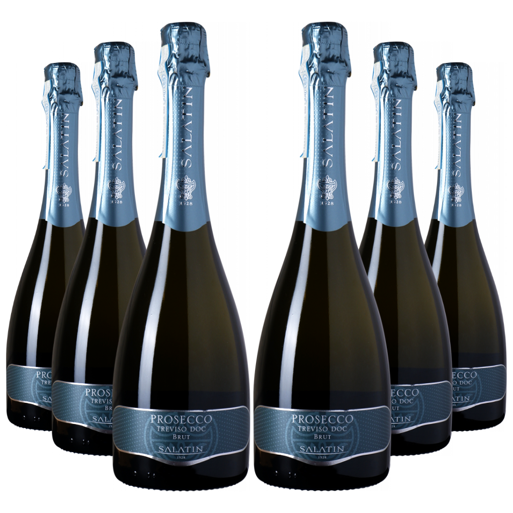 6 bottiglie da 0,75 l di Prosecco Treviso DOC brut Salatin.