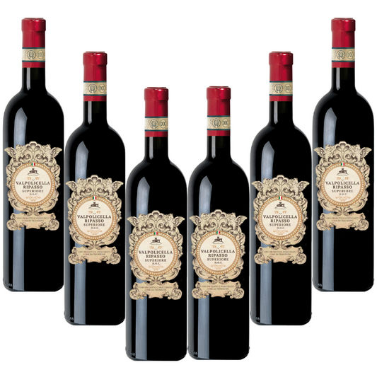 Valpolicella Superiore Ripasso D.O.C. 6 bottiglie | FEUDO ITALIA